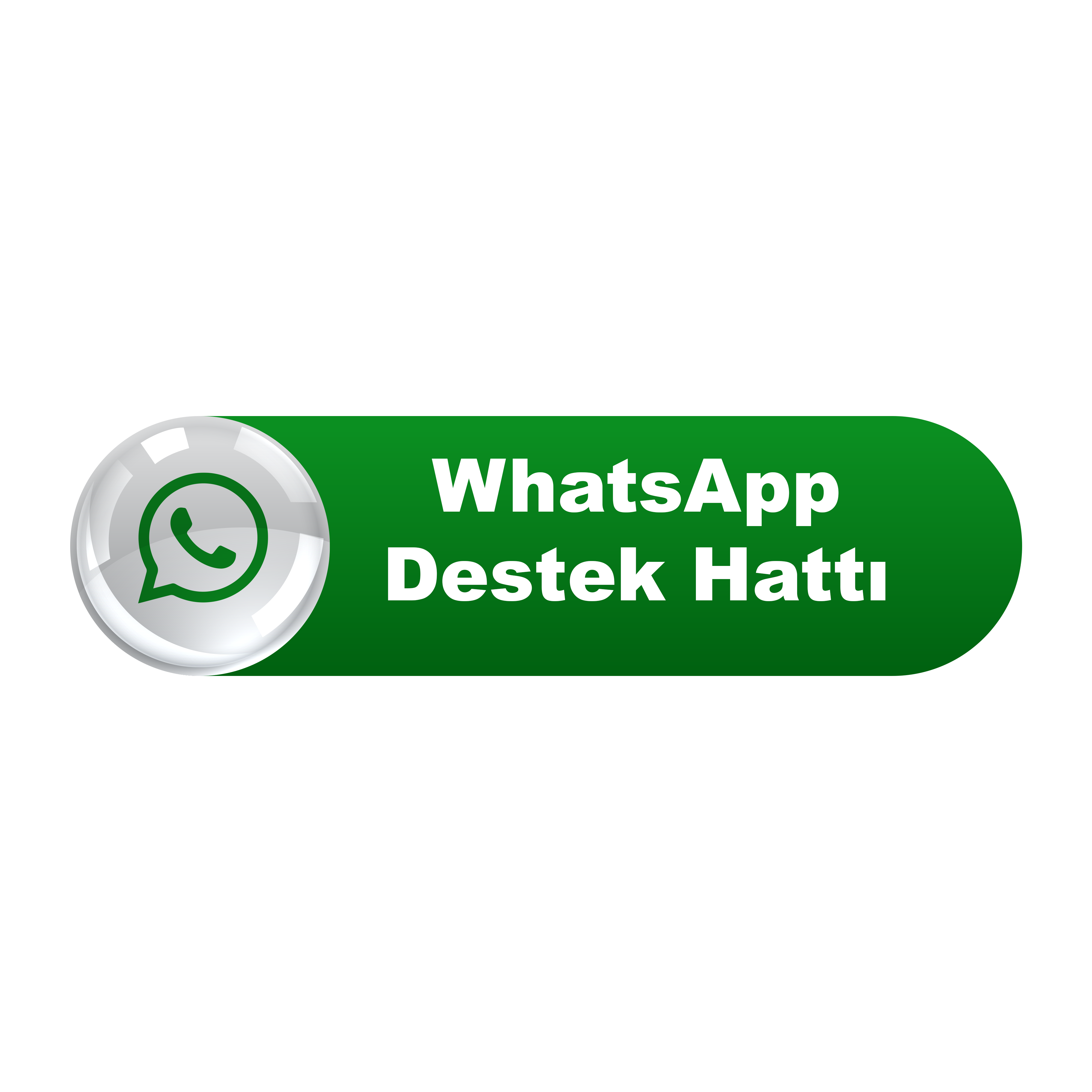 web tasarım whatsapp iletişim